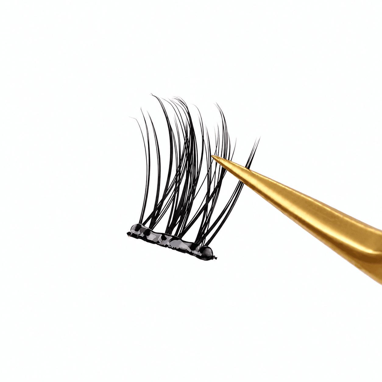 Lashes